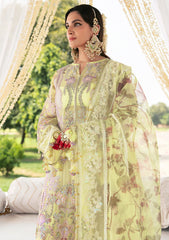 Formal Collection - Declare - Phul Motiya Da - LFU#10 - NARGIS