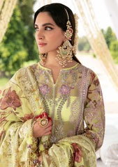 Formal Collection - Declare - Phul Motiya Da - LFU#10 - NARGIS