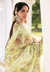 Formal Collection - Declare - Phul Motiya Da - LFU#10 - NARGIS