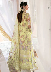 Formal Collection - Declare - Phul Motiya Da - LFU#10 - NARGIS