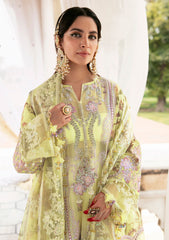 Formal Collection - Declare - Phul Motiya Da - LFU#10 - NARGIS