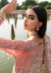 Formal Collection - Declare - Phul Motiya Da - LFU#13 - SUNBAL