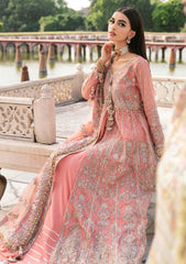 Formal Collection - Declare - Phul Motiya Da - LFU#13 - SUNBAL