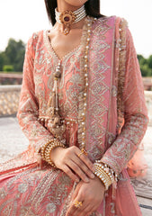 Formal Collection - Declare - Phul Motiya Da - LFU#13 - SUNBAL