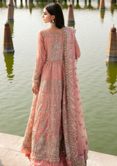 Formal Collection - Declare - Phul Motiya Da - LFU#13 - SUNBAL