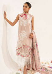 Lawn Collection - Asifa & Nabeel - Leia - LL#17 CAPELLA
