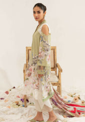 Lawn Collection - Asifa & Nabeel - Leia - LL#19 ALTAIR