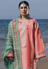 Lawn Collection - Zara Shahjahan - Spring Summer 24 - ZSJ24#6A