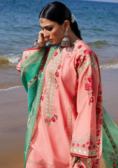 Lawn Collection - Zara Shahjahan - Spring Summer 24 - ZSJ24#6A