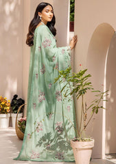 Formal Collection - Adan's Libas - Lueur Chapter 2 - D#01