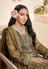 Formal Collection - Adan's Libas - Lueur Chapter 2 - D#06