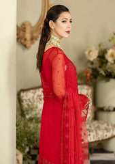 Formal Collection - Majestic - Baagh - M#50 | CHAMPA