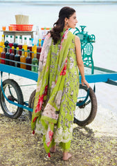 Lawn Collection - M.Basics - MB24#05 - B
