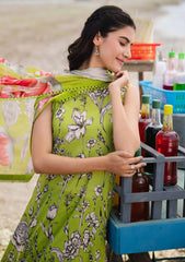 Lawn Collection - M.Basics - MB24#05 - B