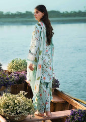 Lawn Collection - M.Basics - MB24#06 - B