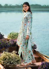 Lawn Collection - M.Basics - MB24#06 - B