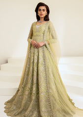 Formal Collection - Maryum N Maria - The Brides - Humid (MS23-534)