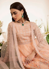 Formal Collection - Maryum N Maria - The Brides - Sushi Kiss (MS23-532)