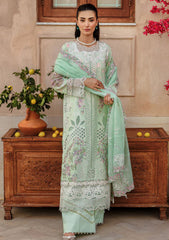 Lawn Collection - Rajbari - Amali Festive 24 - RF#04 - B