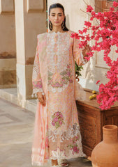 Lawn Collection - Rajbari - Amali Festive 24 - RF#05 - B