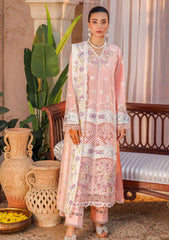 Lawn Collection - Rajbari - Amali Festive 24 - RF#01 - B