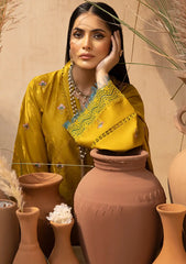 Winter Collection - Mahnur - Mehru - Cashmere Wool - MW#05