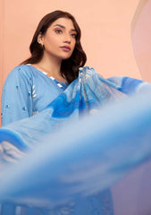 Winter Collection - Aalaya - Mahjbeen - Viscose - Vol 2 - D#10