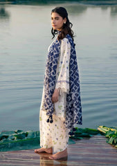 Lawn Collection - M.Basics - MB24#01 - A