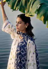 Lawn Collection - M.Basics - MB24#01 - A