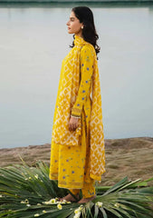 Lawn Collection - M.Basics - MB24#01 - B