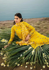 Lawn Collection - M.Basics - MB24#01 - B