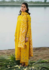 Lawn Collection - M.Basics - MB24#01 - B