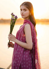 Lawn Collection - M.Basics - MB24#08 - B