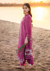 Lawn Collection - M.Basics - MB24#08 - B