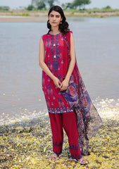 Lawn Collection - M.Basics - MB24#12 - B