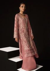 Formal Collection - Rang Rasiya - Chatoyer - Wedding - D#06 - MARIANA