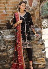 Winter Collection - Noor - Saadia Asad - Luxury - Shawl - NWS#09