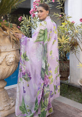 Lawn Collection - Asifa & Nabeel - Meraki Summer Vol 2 - AM24#01 - Noori