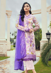 Winter Collection - Humdum - Diva - D#05