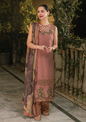 Lawn - Asifa & Nabeel - Gulkari 25 - GKL-04 - Saffron Day