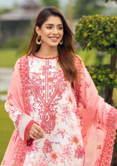 Winter Collection - Humdum - Diva - D#07