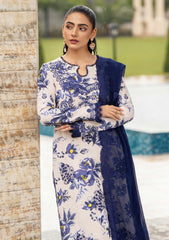 Winter Collection - Humdum - Diva - D#04