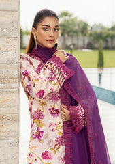 Winter Collection - Humdum - Diva - D#02