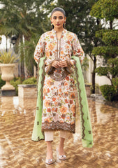 Winter Collection - Humdum - Diva - D#10