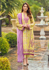 Winter Collection - Humdum - Diva - D#09