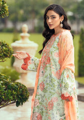 Winter Collection - Humdum - Diva - D#03