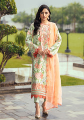 Winter Collection - Humdum - Diva - D#03