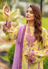 Winter Collection - Humdum - Diva - D#09