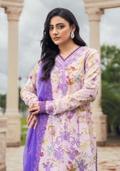 Winter Collection - Humdum - Diva - D#05