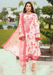 Winter Collection - Humdum - Diva - D#07